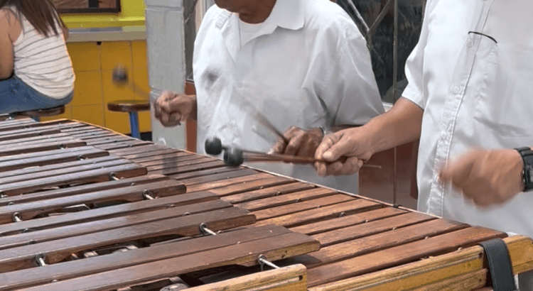 La marimba, un patrimoine culturel du Costa Rica. | Guide Costa Rica